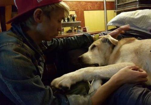 国产人与狗,探寻人类与动物和谐共生的奥秘